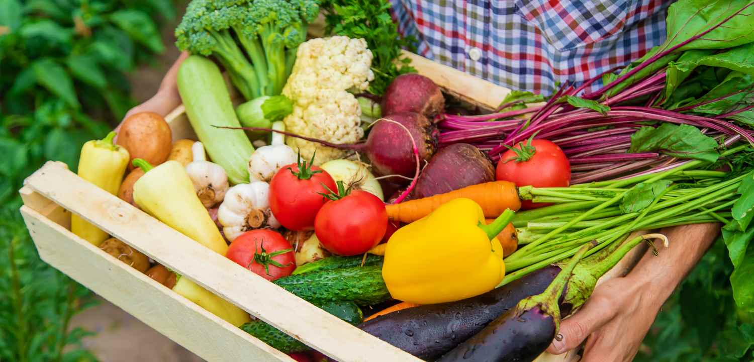 Dieta MIND: qué es, en qué consiste y qué alimentos incluye