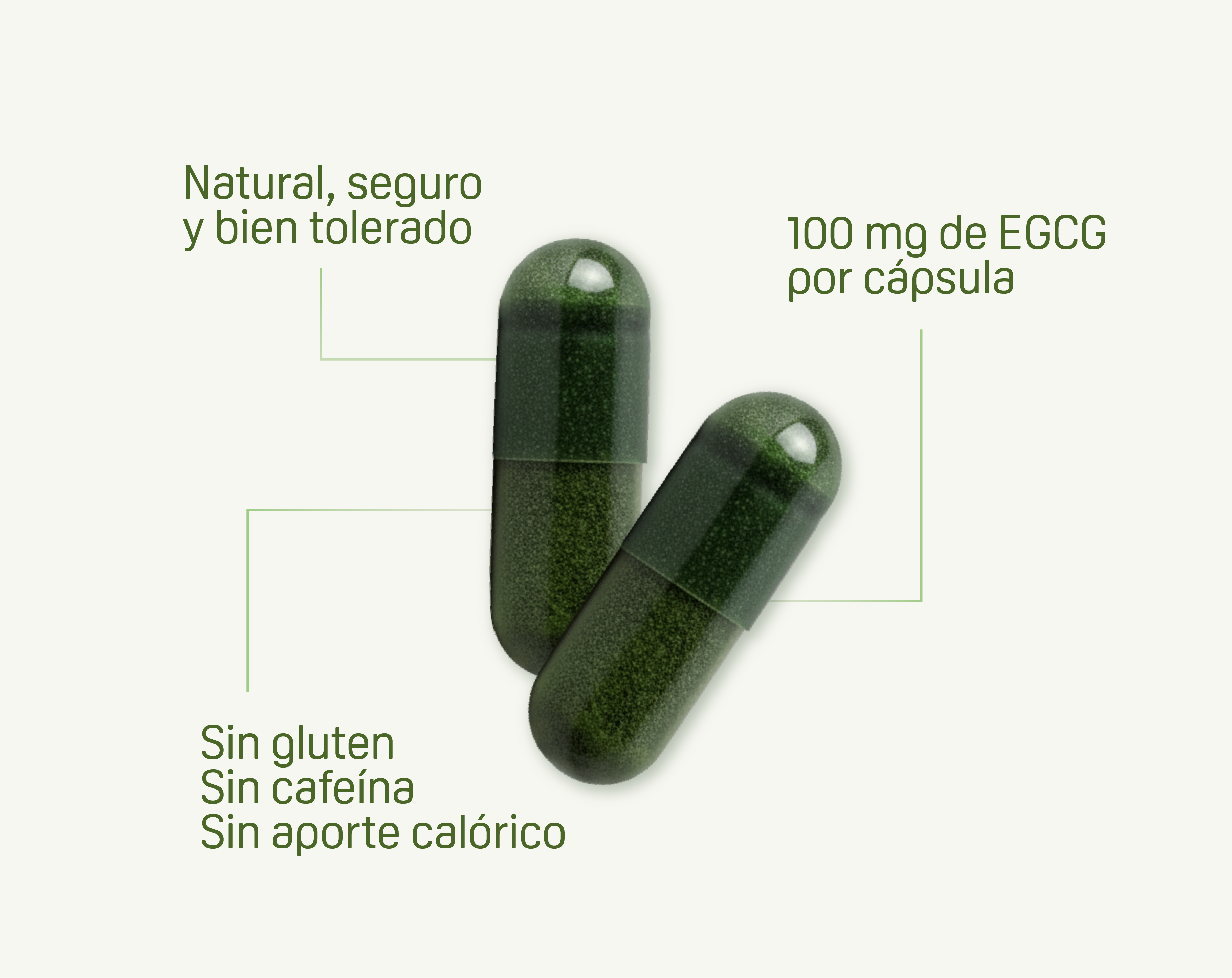 FontUp® | Early intervention in subjective cognitive decline